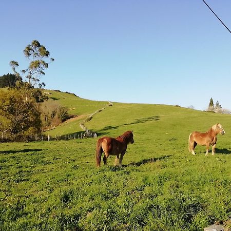 Agroturismo Pagoederraga Орио Экстерьер фото