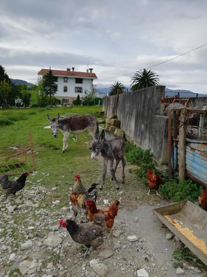 Agroturismo Pagoederraga Орио Экстерьер фото