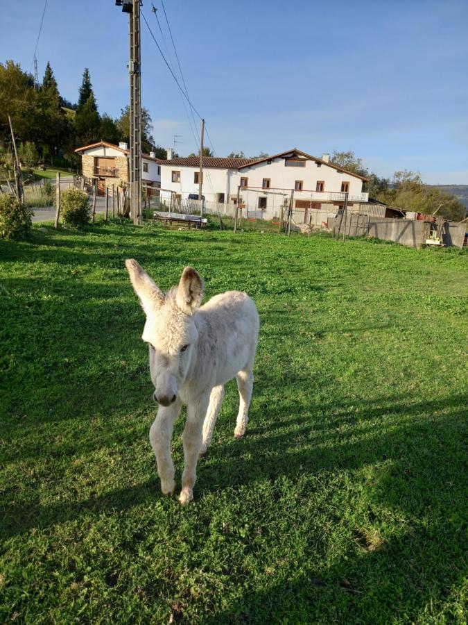 Agroturismo Pagoederraga Орио Экстерьер фото