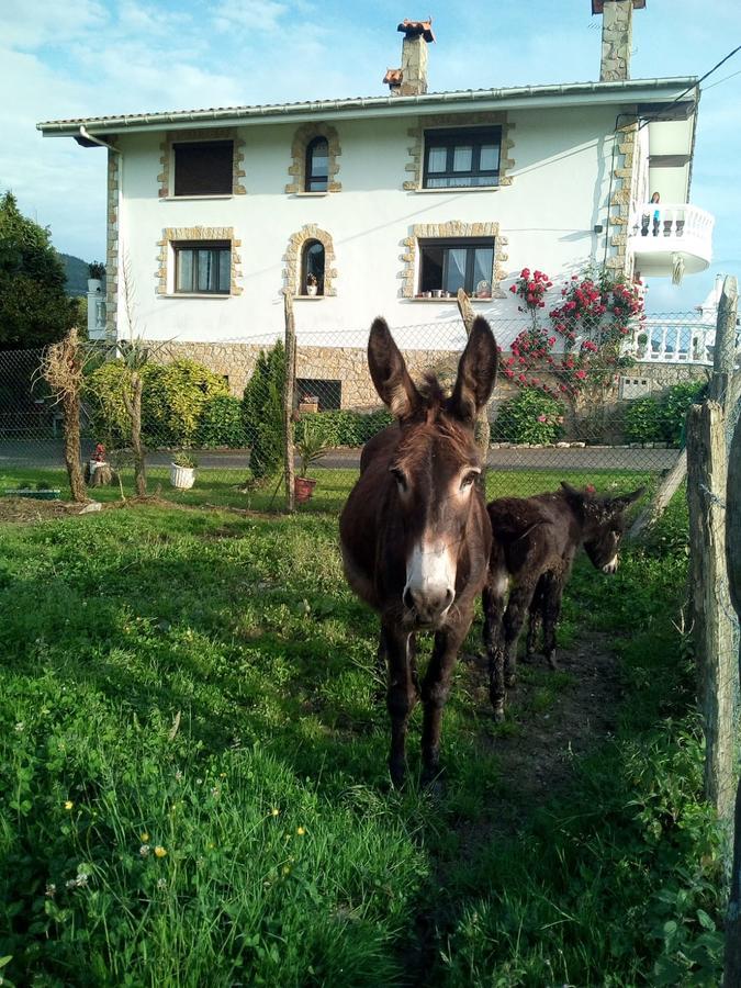 Agroturismo Pagoederraga Орио Экстерьер фото