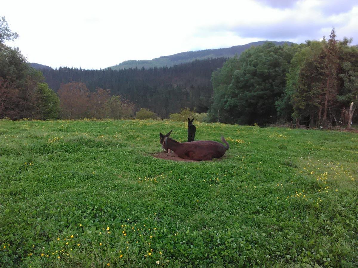 Agroturismo Pagoederraga Орио Экстерьер фото