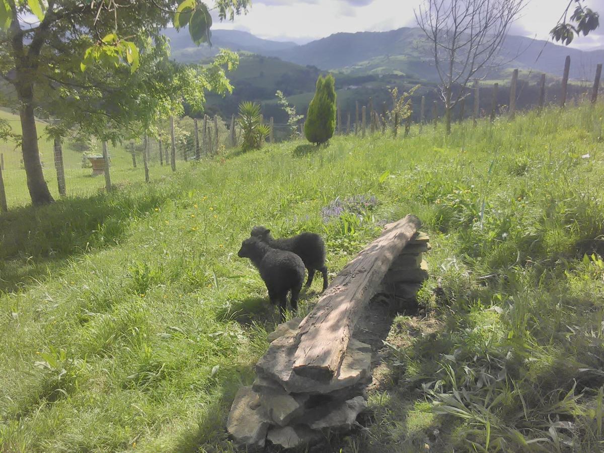 Agroturismo Pagoederraga Орио Экстерьер фото