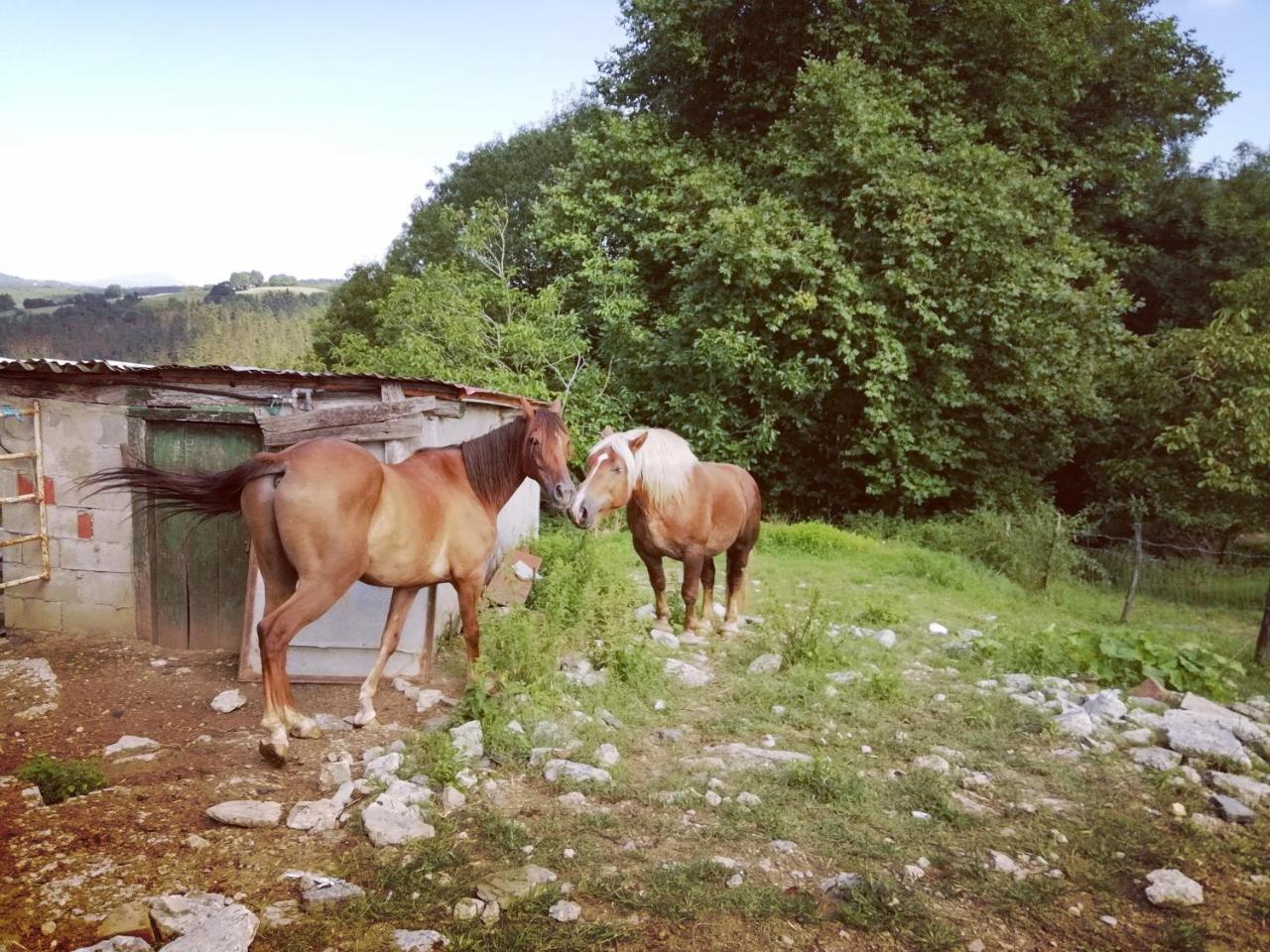 Agroturismo Pagoederraga Орио Экстерьер фото