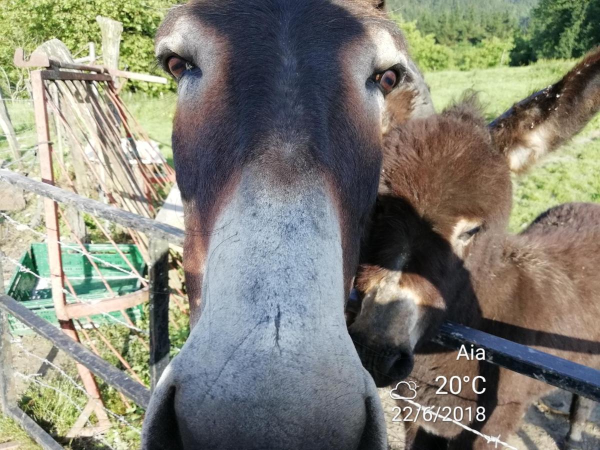 Agroturismo Pagoederraga Орио Экстерьер фото